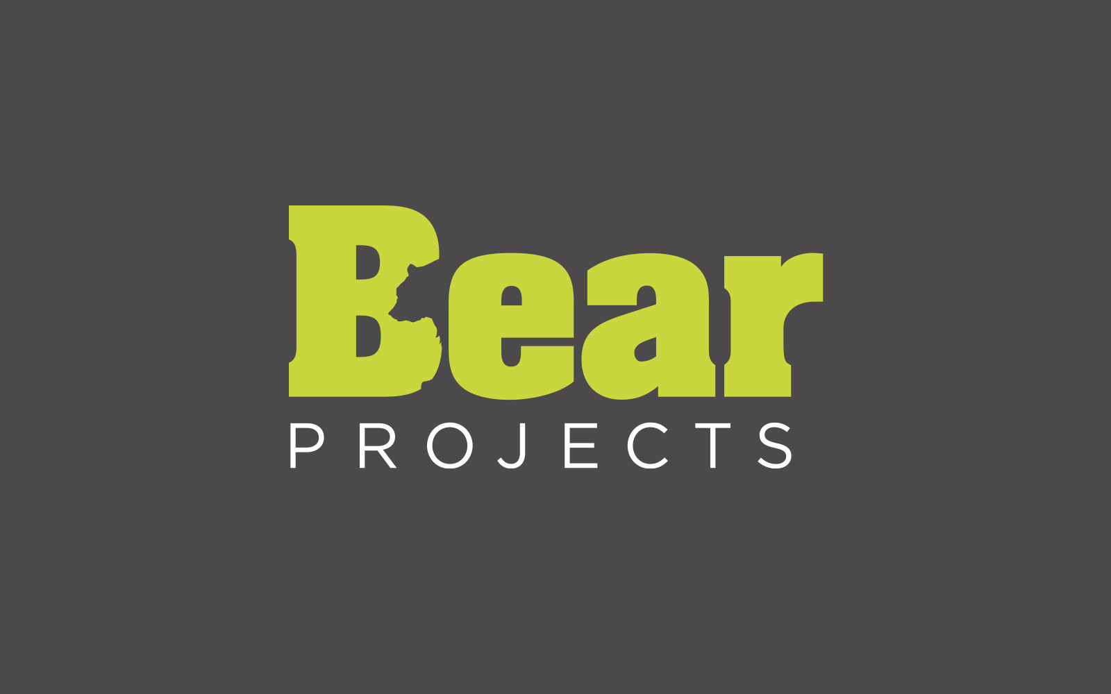 Bear Projects branding logo design