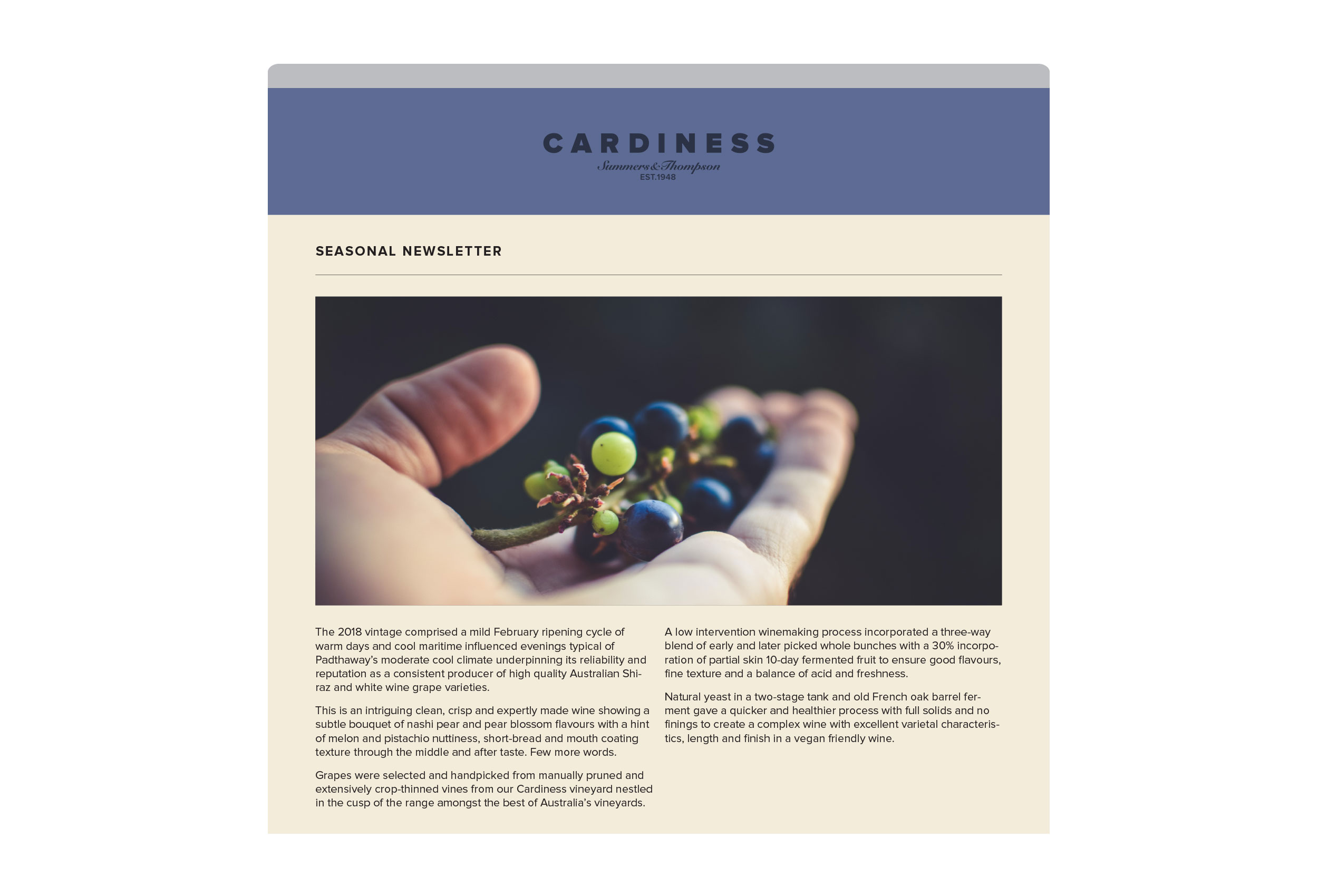 Cardiness design masthead Newsletter
